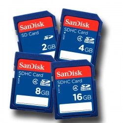 SD memory card