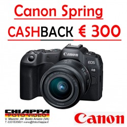 Canon EOS R8 + 24-50...